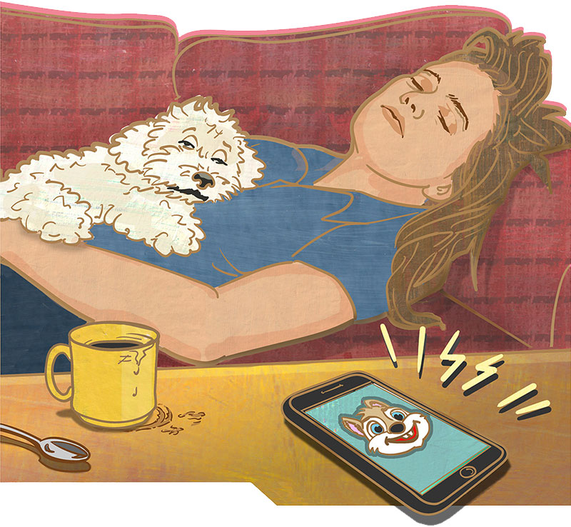 Eine Frau und ihr Hund schlummern auf dem Sofa, während der Bildschirm des vibrierenden Handys ein Eichhörnchen zeigt.