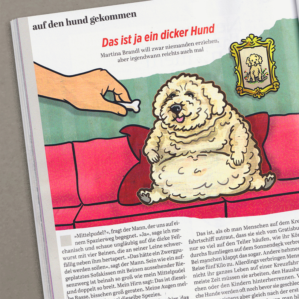 Ein dehr dicker Hund sitzt auf dem Sofa. Eine Hand reicht ihn ein Leckerli. Im Hintergrund ein Foto von dem Hund als er noch jung und schlank war.