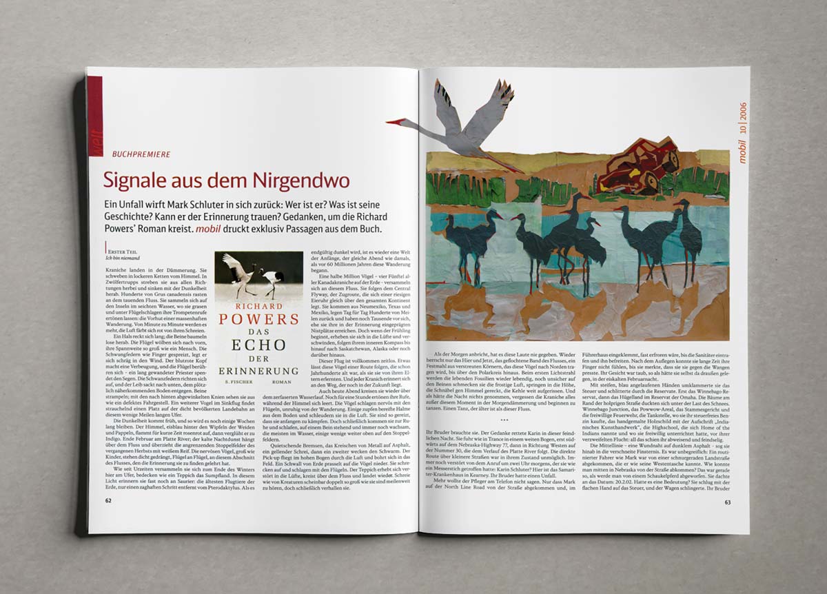 Kraniche an einem See mit kaputtem Auto im Hintergrund, Illustration