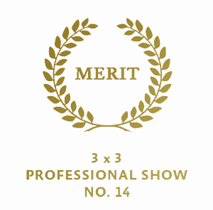 Merit Award der International Illustration Show No14