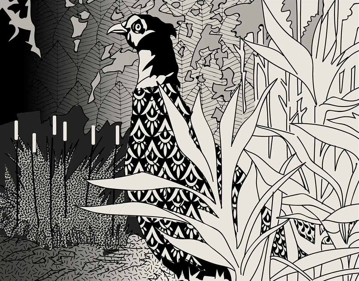 Ein Fasan zwischen verschiedenen Pflanzen, Darstellung in schwarz-weißen linearen Mustern